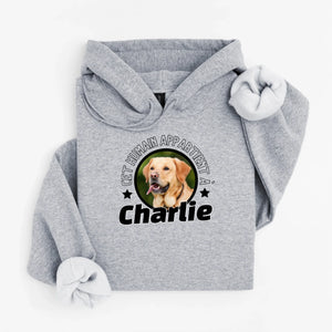 hoodie gris sport