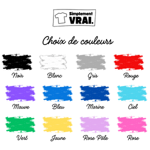 choix de couleurs