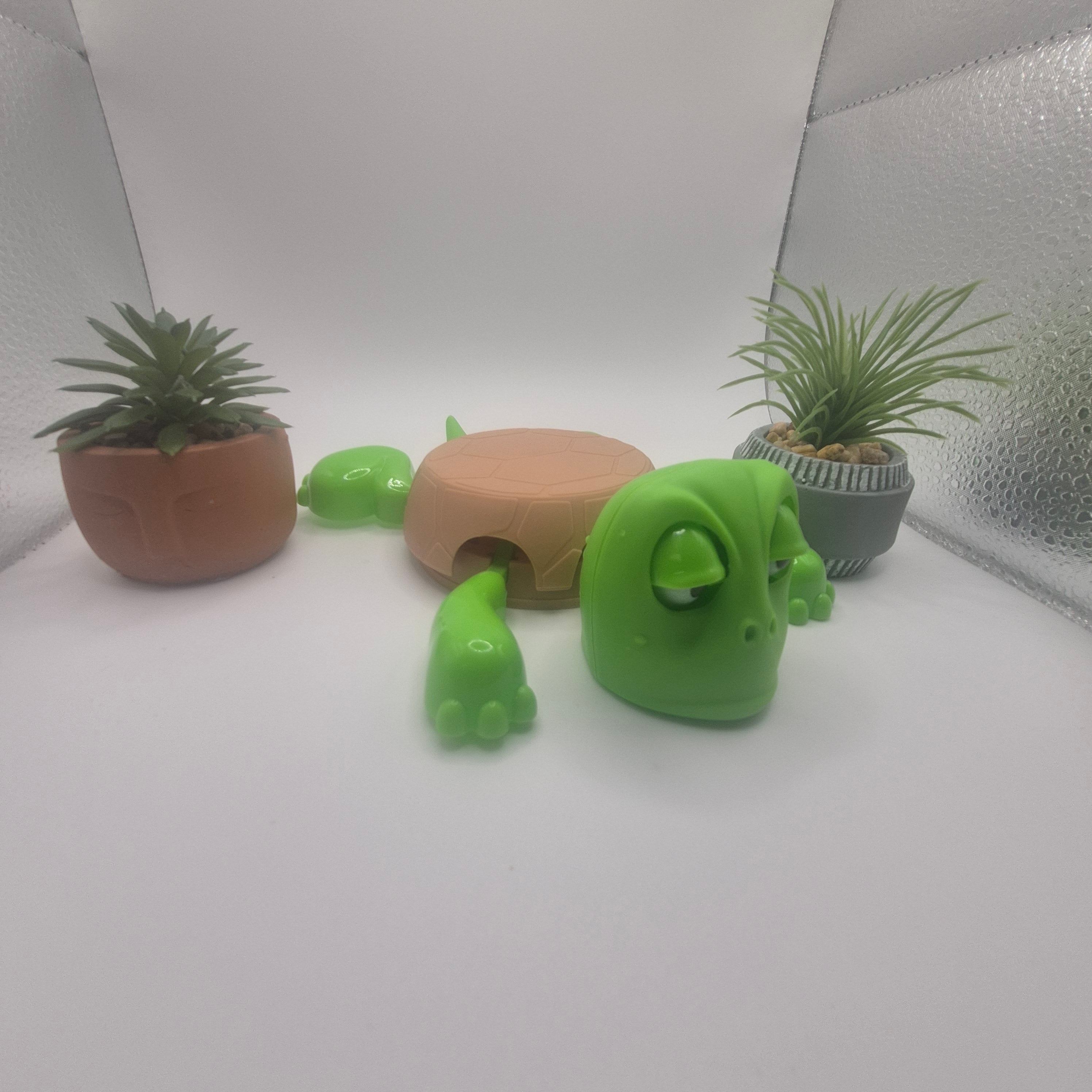 La Tortue Détraquée (Sous-Verre)