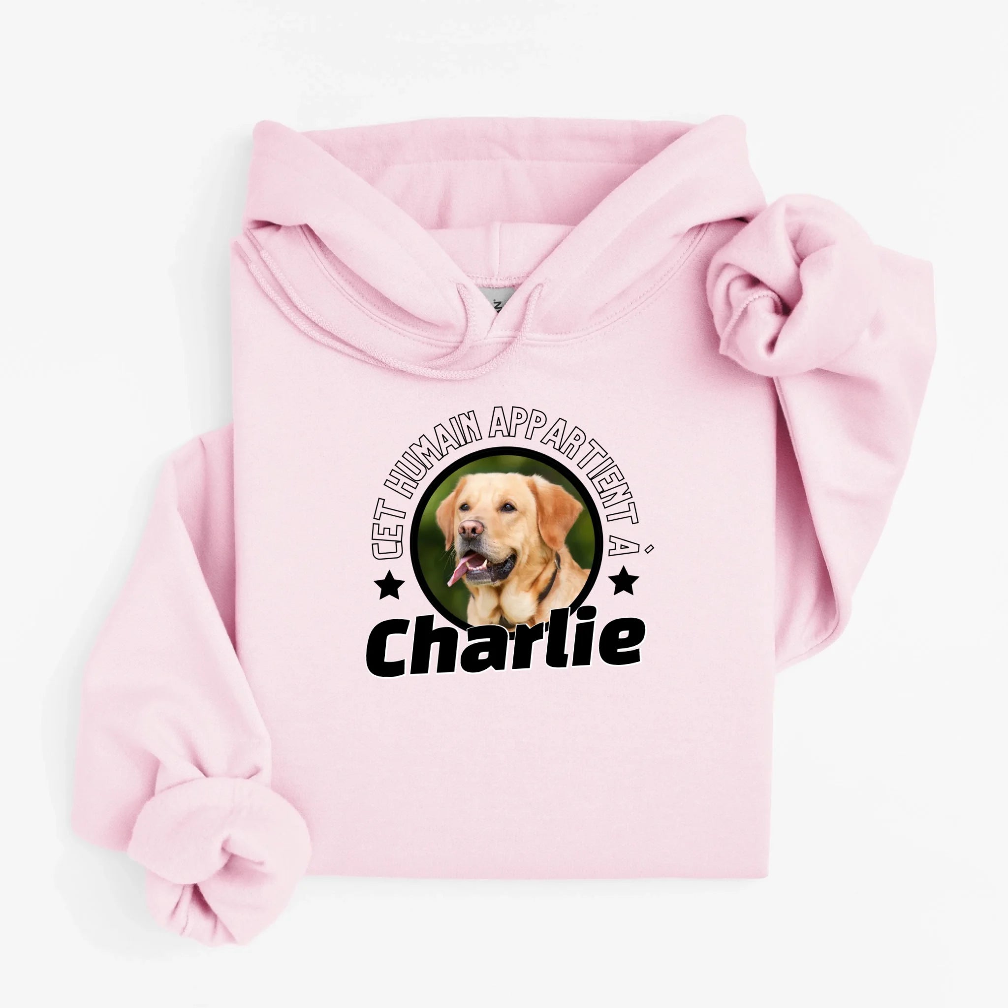 hoodie rose pale