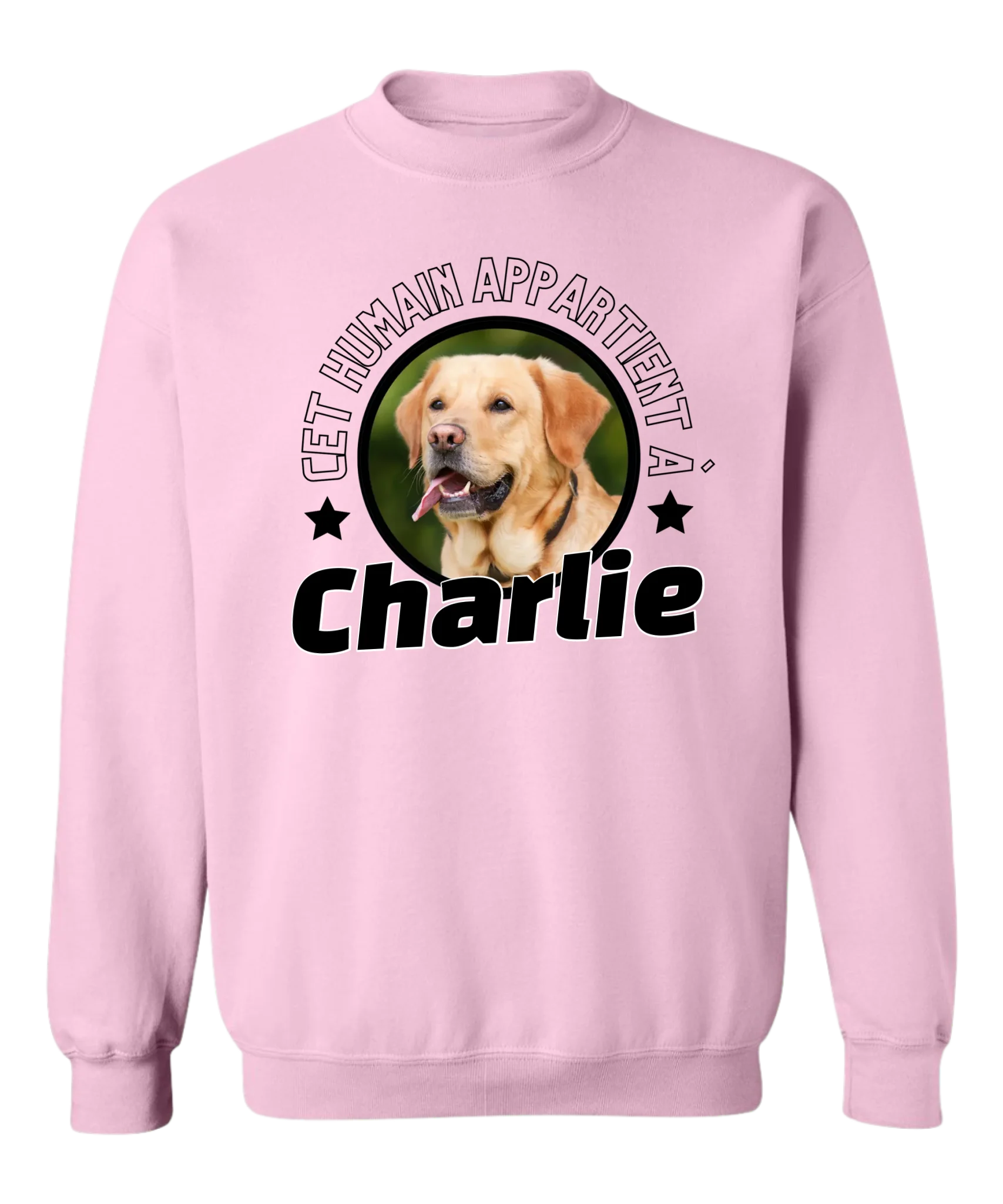 Cet humain appartient à - Personnalisable - Cadeau original