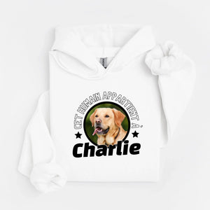 hoodie blanc