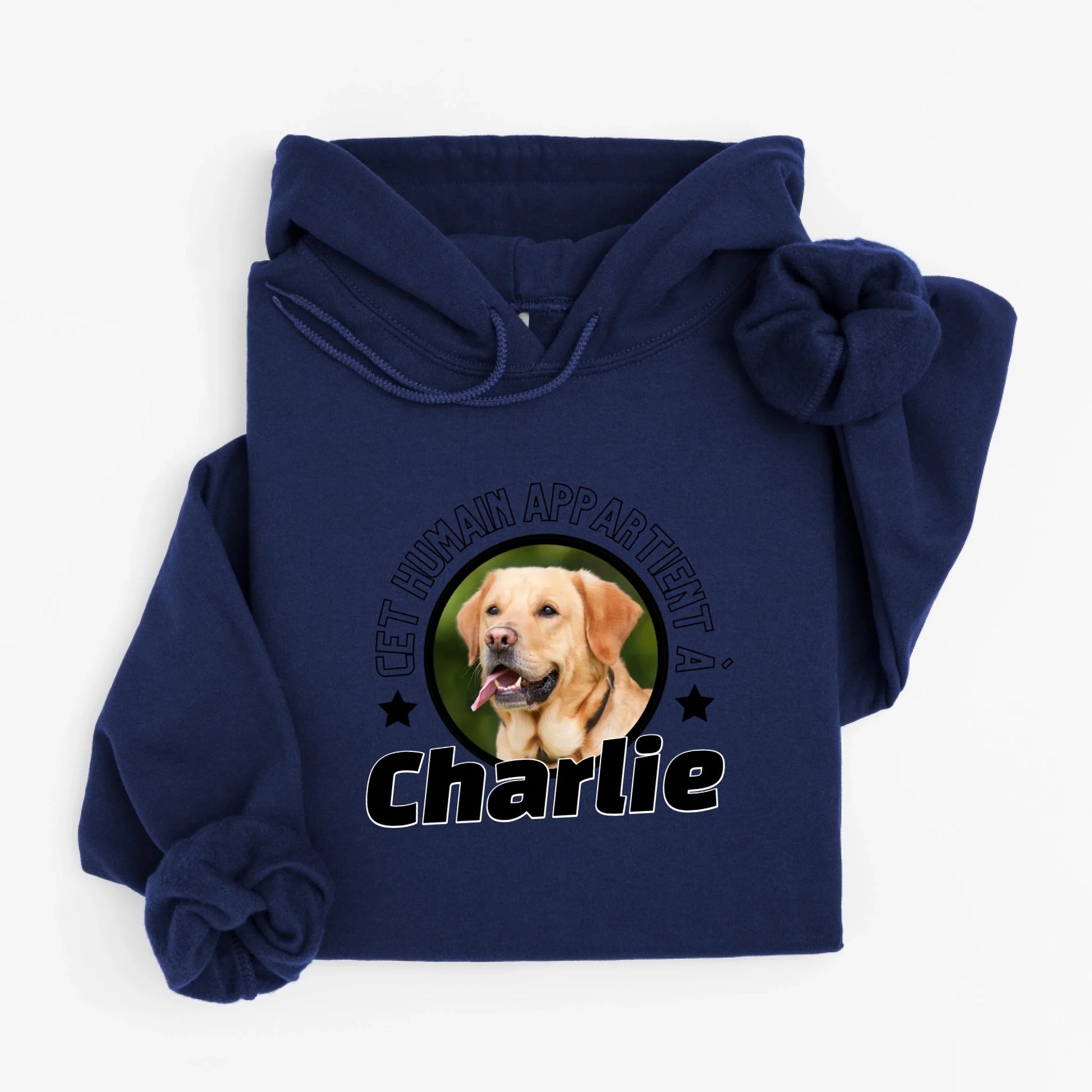hoodie navy