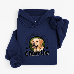 hoodie navy