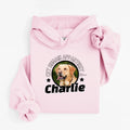 hoodie rose pale