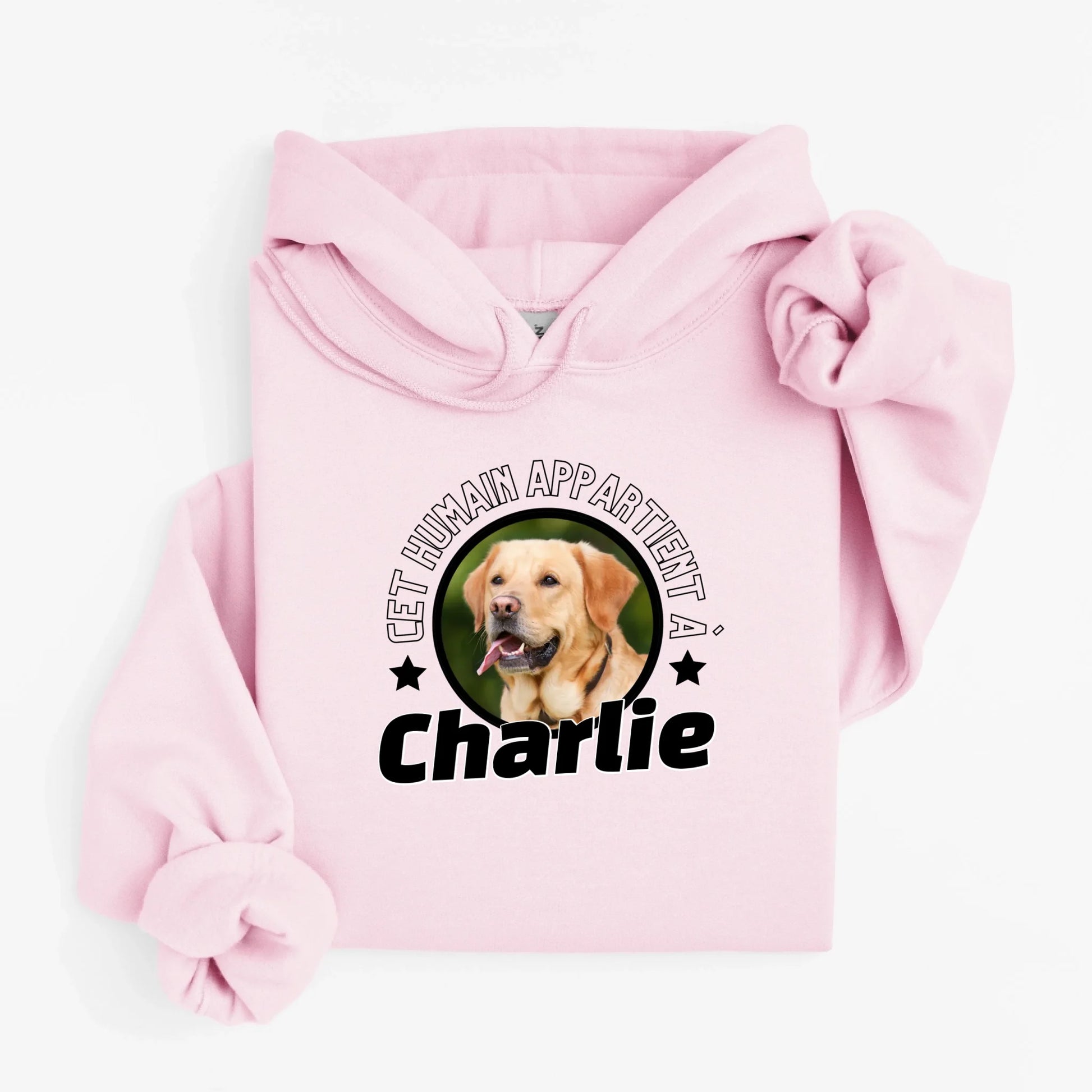 hoodie rose pale