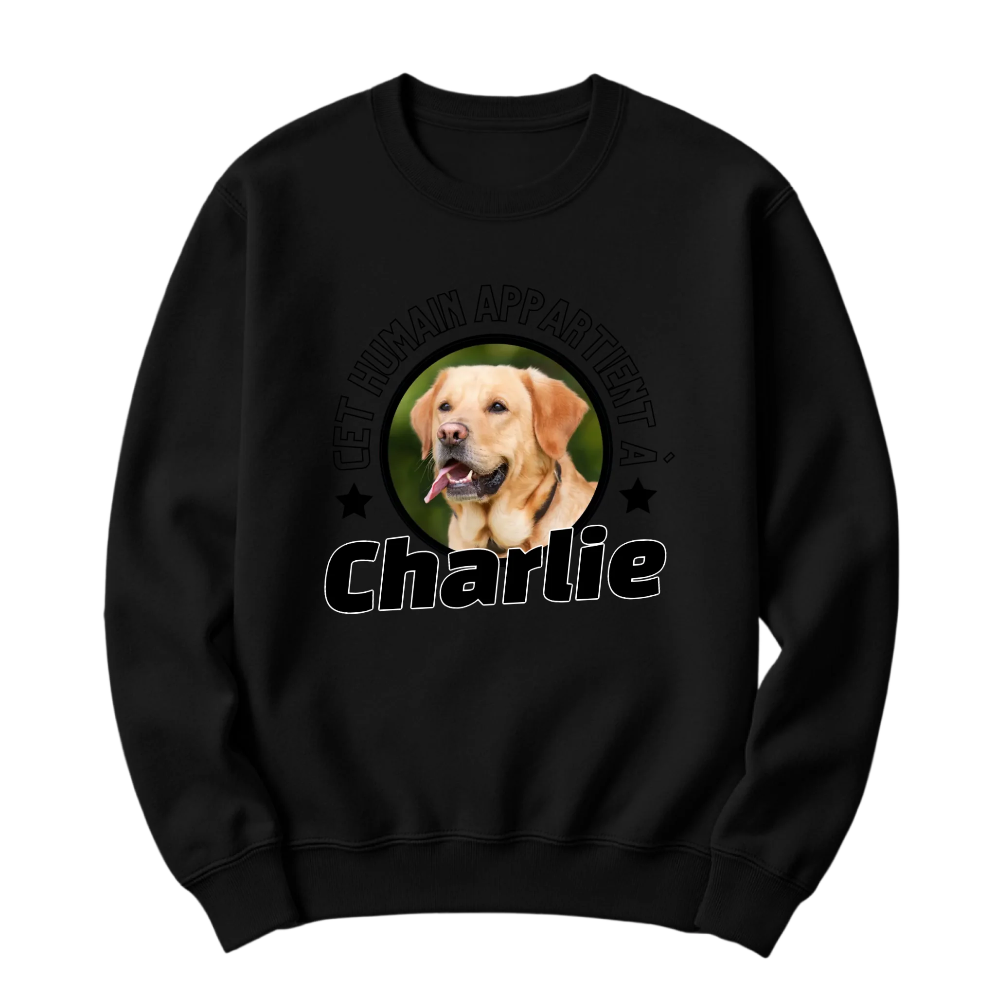 crewneck blanc