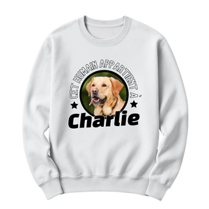 crewneck blanc