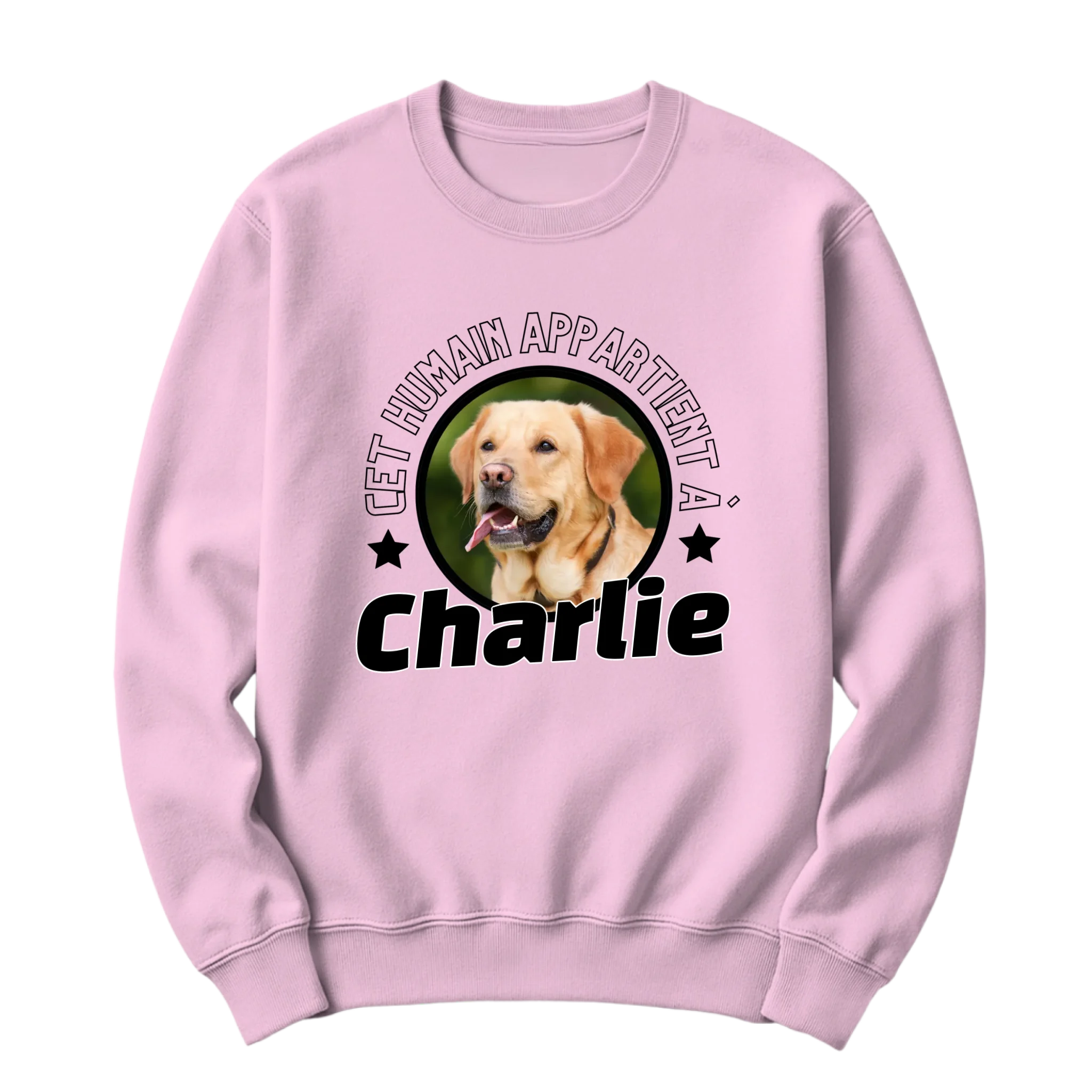 crewneck blanc