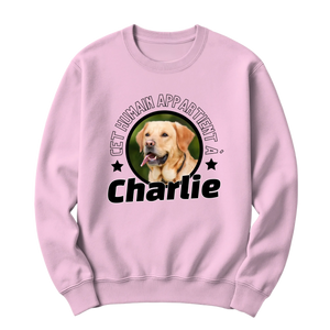 crewneck blanc