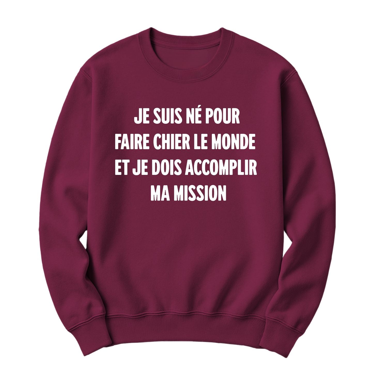 Crewneck Né pour faire chier le monde