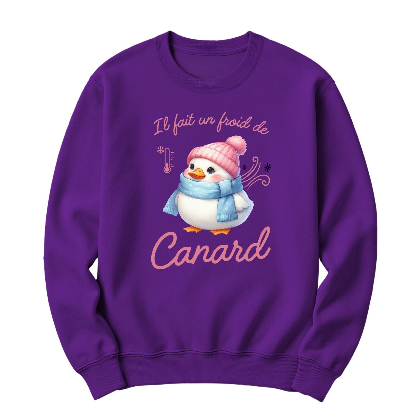 Crewneck Il fait un froid de canard