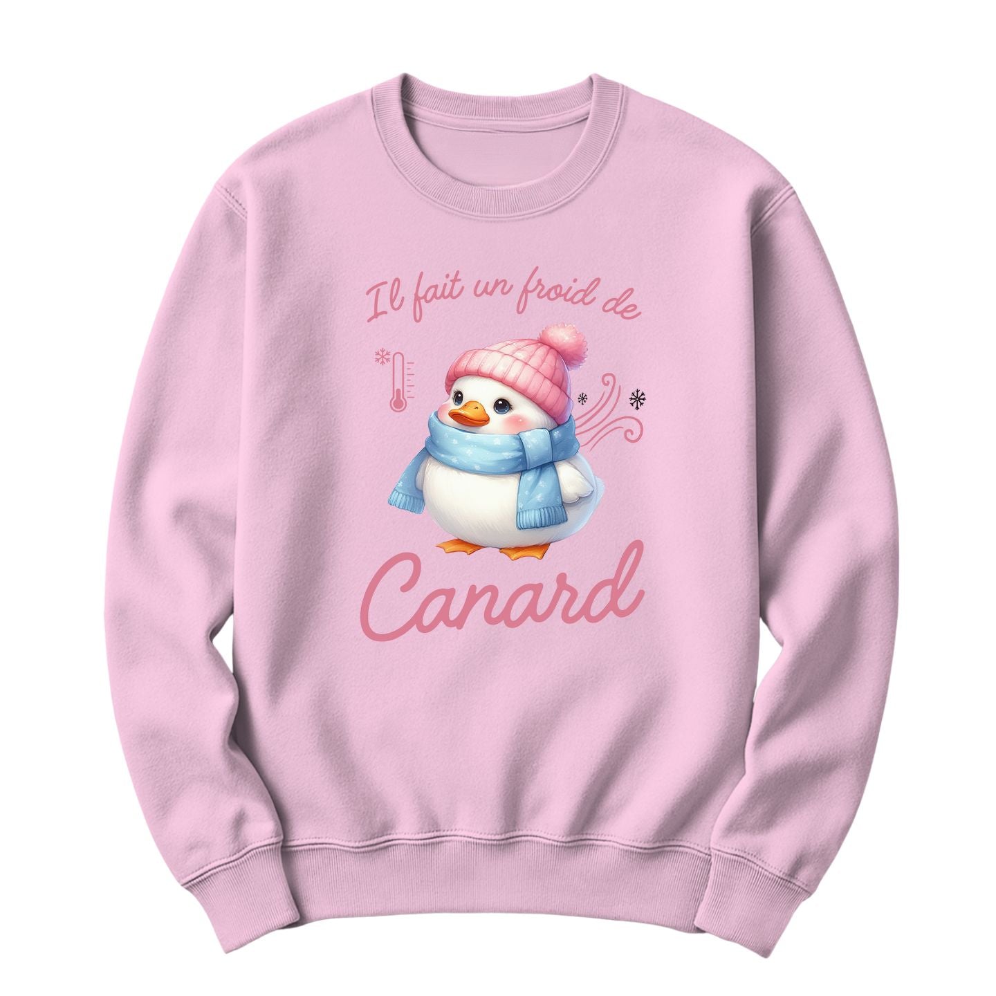 Crewneck Il fait un froid de canard
